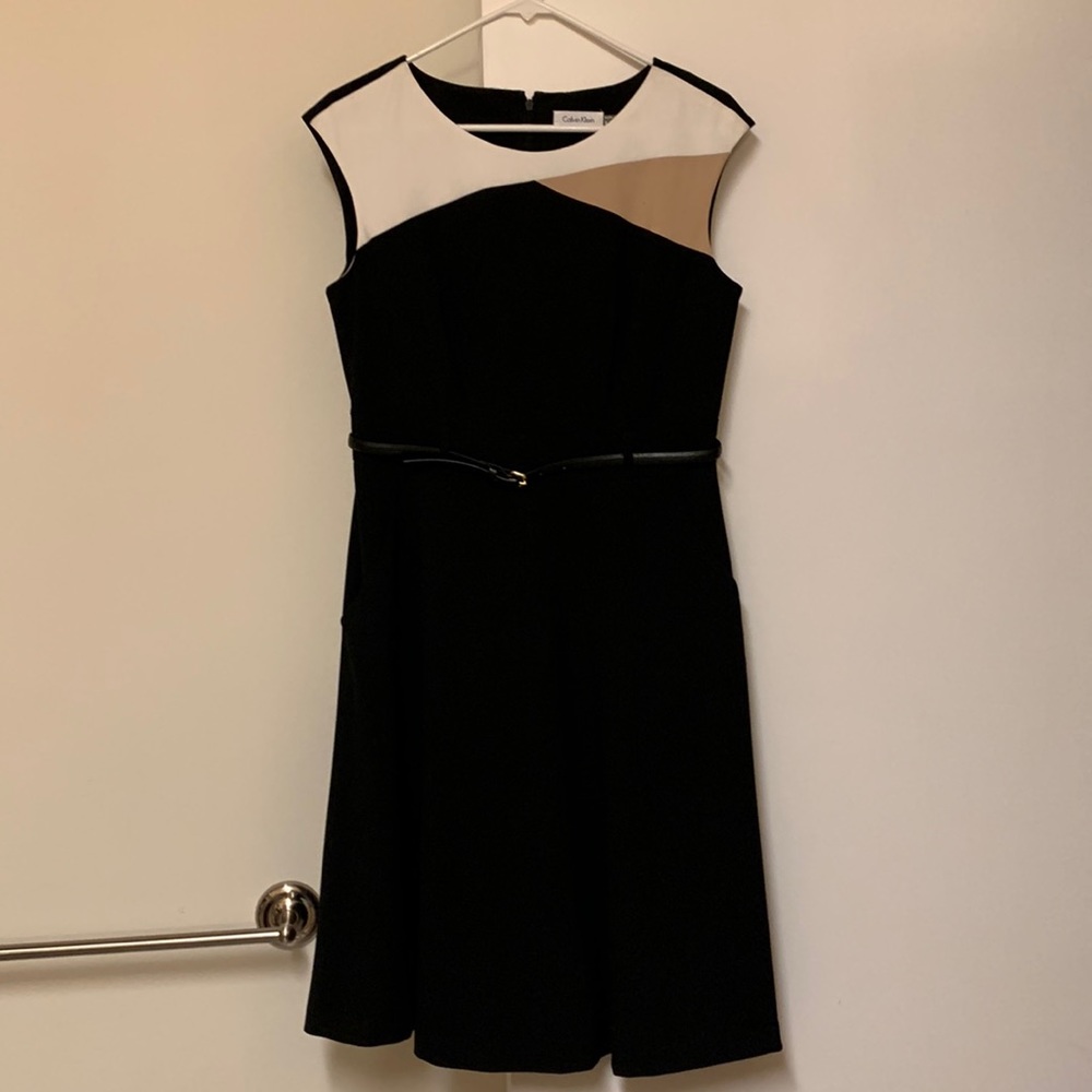 Calvin Klein Colorblock Sheath Dress with Belt
